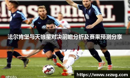 法尔肯堡与天狼星对决前瞻分析及赛果预测分享
